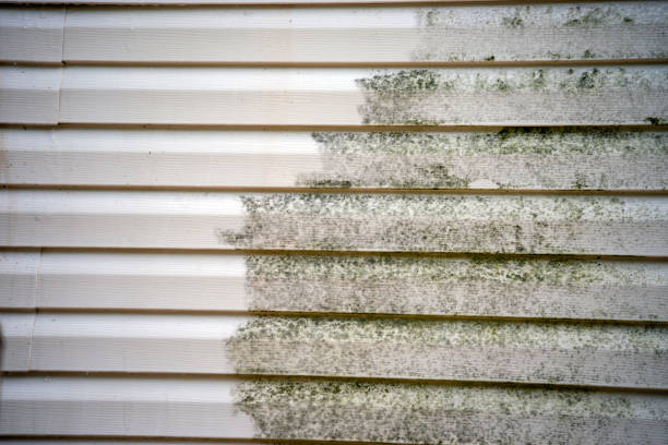 Property Management Cleanouts in New Baltimore, OH